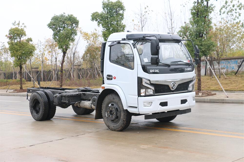 東風(fēng)大福瑞卡（3800，云內(nèi)150）國(guó)六內(nèi)飾照片圖