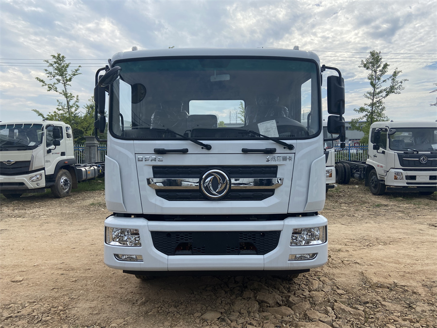 東風(fēng)D9（3950，康明斯230）國(guó)六 內(nèi)飾照片圖