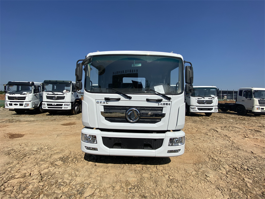 東風(fēng)D9（3950，玉柴165）國(guó)六 內(nèi)飾照片圖