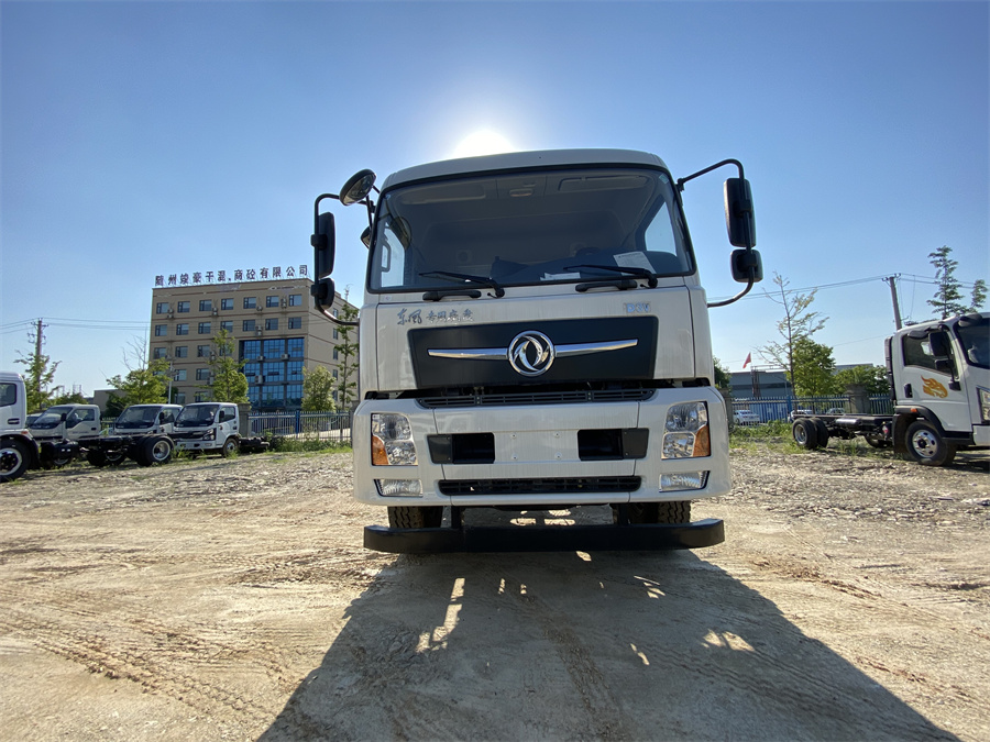 東風(fēng)D3V（后雙橋，康明斯260）國六 內(nèi)飾照片圖